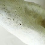 large-sculptural-white-vase-iron-speckled-engobe-berlin-stoneware